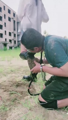 图片[7]_【调教视频】【宸宸】囚禁户外飞踹/强迫吃泥土_绳艺库视频下载