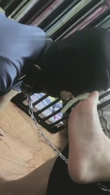 图片[5]_【慕田S】犬化母畜全过程【完整版】_绳艺库视频下载