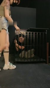 【冰诺】运动女神-狗笼囚禁/艺术虐打贱狗/骑马_绳艺库视频下载