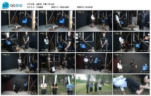 【mj影视】巾帼三英_绳艺库视频下载