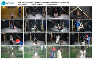 【mj影视】屈妇斩首_绳艺库视频下载