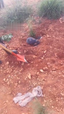 图片[3]_【cc.s】情侣主埋绿帽贱奴_绳艺库视频下载