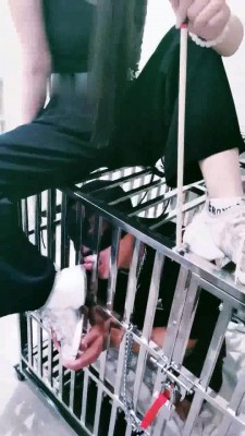 【茹雪】美甲店的秘密-双主VS双奴-狗笼圈养/虐踩舌（双视角）_绳艺库视频下载