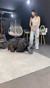 【冰诺】健身女神吊绑奴鞭打专场_绳艺库视频下载