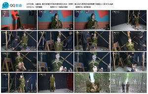 【mj影视】潜伏者_绳艺库视频下载