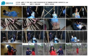 【mj影视】天下星冤_绳艺库视频下载