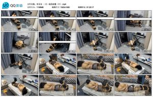 【欢乐谷】一天一夜的放置（中）_绳艺库视频下载