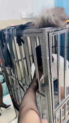 图片[2]_【木子大大】黑丝jio玩狗笼贱奴_绳艺库视频下载