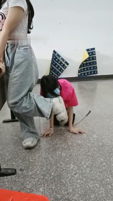 图片[7]_【爱可呀】你们的学生会副主席我的狗_绳艺库视频下载