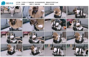 【飞天原创】专门为骚奴特制一种木制加铁制拘束架，禁锢起来后非常听话_绳艺库视频下载