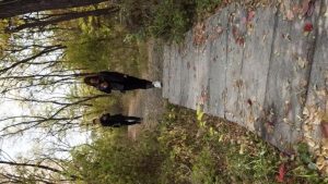 老板的骗局_绳艺库视频下载