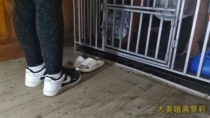 图片[3]_【大美】8分钟不间断语言羞辱强迫喂食圈养狗_绳艺库视频下载