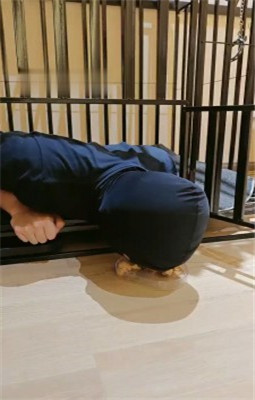 图片[5]_【稚惜】桌底伺候主人就餐-恋足舔-狗笼喂食_绳艺库视频下载