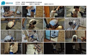 【一绳所爱】空姐贺然捆绑囚禁打耳光主题_绳艺库视频下载