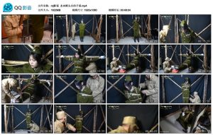 【mj影视】走向断头台的予诺_绳艺库视频下载