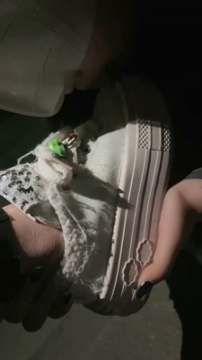 图片[5]_【女仆店S】带素人妹妹户外玩母畜_绳艺库视频下载