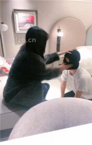 【绝美兔女王】跪舔长靴白袜裸足_绳艺库视频下载