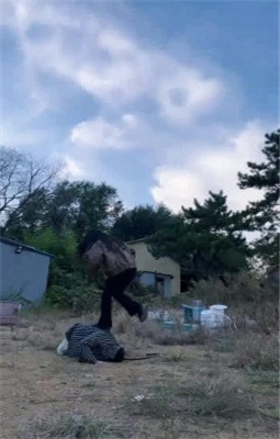 图片[8]_【允薇】庄园清理女主脏泥靴底/鞭打飞踹踩踏_绳艺库视频下载