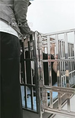 图片[6]_【朱迪S】双S-狗笼囚禁/舔原味jio【双视角版】_绳艺库视频下载