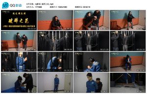 【mj影视】破碎之花_绳艺库视频下载