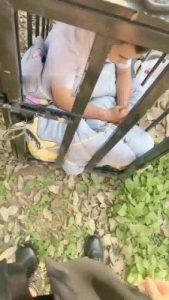 【沅芷大人】圈养家奴晨练【上】_绳艺库视频下载