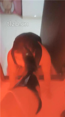 图片[2]_【乐爷】圈养双奴争宠受虐【完整版】_绳艺库视频下载