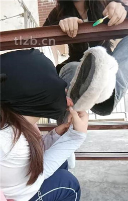 图片[9]_【爱可呀】在天台玩弄你们女神_绳艺库视频下载