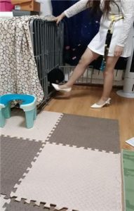 【平凡】圈养狗奴犬化实录_绳艺库视频下载