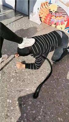 图片[17]_【广东迪迪】双S-户外-公开处刑遛狗_绳艺库视频下载