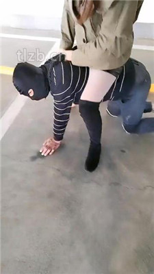 图片[8]_【广州迪迪】双S-户外停车场遛狗【双视角版】_绳艺库视频下载