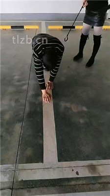 图片[6]_【广州迪迪】双S-户外停车场遛狗【双视角版】_绳艺库视频下载