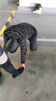 图片[5]_【广州迪迪】双S-户外停车场遛狗【双视角版】_绳艺库视频下载