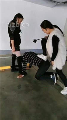 图片[3]_【广州迪迪】双S-户外停车场遛狗【双视角版】_绳艺库视频下载