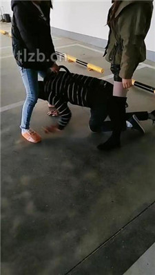 图片[11]_【广州迪迪】双S-户外停车场遛狗【双视角版】_绳艺库视频下载