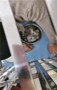 【朱迪女王】狗笼圈养喂食贱奴-双S-sp骑马【下】双视角版_绳艺库视频下载