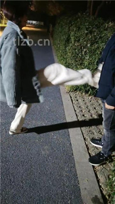 图片[6]_【诗琪】户外骑马骑脖遛狗_绳艺库视频下载