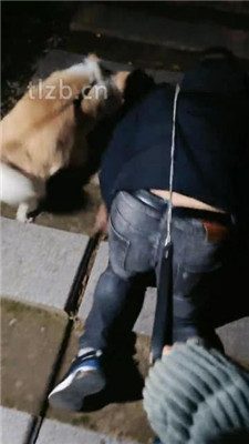 图片[7]_【诗琪】户外骑马骑脖遛狗_绳艺库视频下载