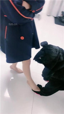 图片[4]_【蜜糖情侣】狗笼圈养绿帽狗/跪舔原味肉丝jio_绳艺库视频下载