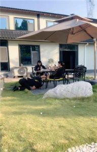 【沅芷大人】双S-伺候主人吃饭【双视角版】_绳艺库视频下载