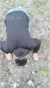 【十三娘】户外逮住艺术狂虐废_绳艺库视频下载