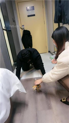 图片[8]_【小雅老师】黑丝高跟踩踏脚底喂食-喝圣水【完整版_绳艺库视频下载