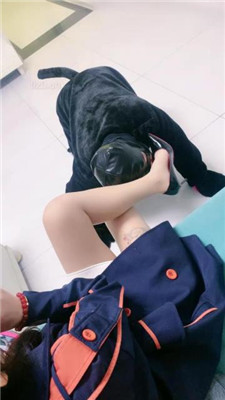 图片[11]_【蜜糖情侣】狗笼圈养绿帽狗/跪舔原味肉丝jio_绳艺库视频下载