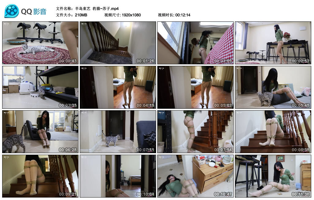 【半岛束艺】豹猫~苏子_绳艺库视频下载