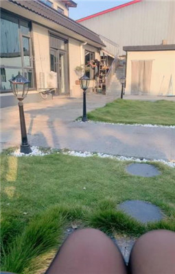 图片[4]_【沅芷大人】双S-伺候主人吃饭【双视角版】_绳艺库视频下载