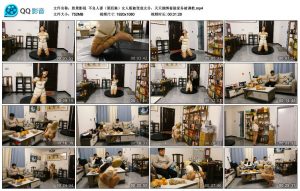 【胜景影视】不良人妻（第四集）_绳艺库视频下载