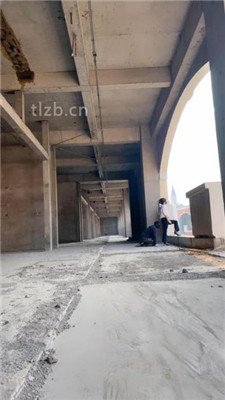 图片[13]_【辣姐】户外荒地遛狗-藤条抽/舔泥巴脏鞋底/骑马_绳艺库视频下载