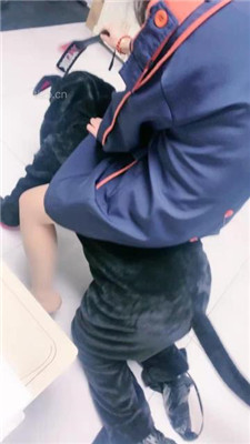 图片[5]_【蜜糖情侣】狗笼圈养绿帽狗/跪舔原味肉丝jio_绳艺库视频下载