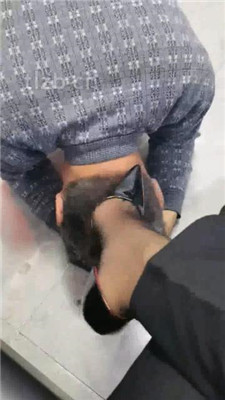 图片[14]_【冷御女王】狗奴幸福狗生-赏赐与惩罚_绳艺库视频下载