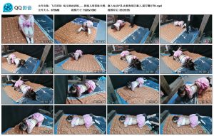 【飞天原创】悦儿努k9训练_绳艺库视频下载