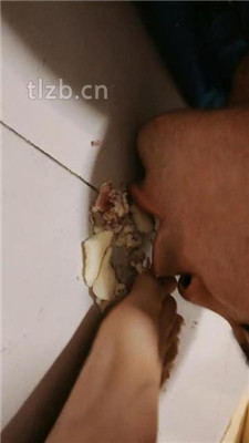 图片[13]_【鱼子酱】小狗的美食盛宴_绳艺库视频下载